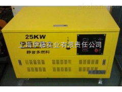 yt25reg 油田用25千瓦汽油發(fā)電機 yt25reg 上海伊藤實業(yè)有限責(zé)任公司